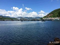 -南丫岛