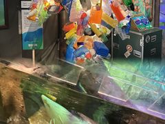 -沈阳海洋探索中心