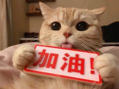 -全家便利店(漕溪北路七店)