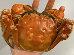 -昆承湖酒家·本帮农家菜