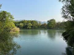 -西溪国家湿地公园