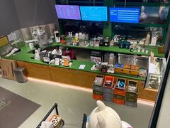 -爪吧宠物乐园·宠物泳池(温榆河示范区店)