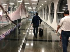 -厦门高崎国际机场-T3航站楼