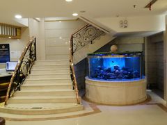 -碧中海汤泉汗蒸酒店