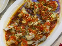 -欢乐海岸美食联盟