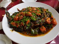 -生态苑农庄(十里画廊遇龙河店)