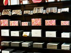 -Laderach 莱德拉(上海环贸iapm店)