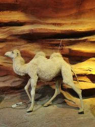 -酷嗒动物文化乐园(cutezoo西溪乐天城店)