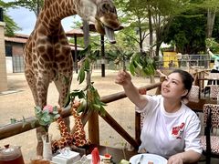 -灵玲国际马戏城