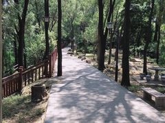 -南国桃园旅游度假区