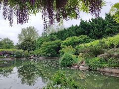 -嘉定紫藤园