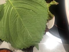 -丰茂烤串(公园店)