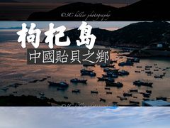 -枸杞岛