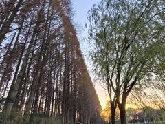 -云龙湖旅游景区