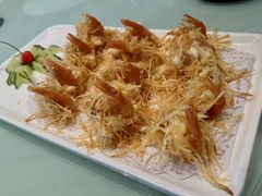 奇妙金丝虾-广信传说