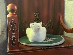 -逃脱反斗城沉浸剧情密室(北京路店)