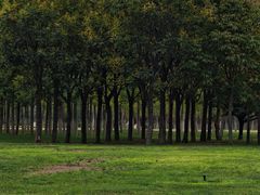 -汉长安城未央宫国家考古遗址公园