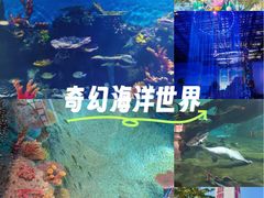 -华夏文旅海洋公园