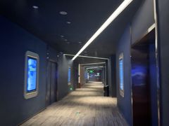 -万象影城(石家庄万象城IMAX激光店)