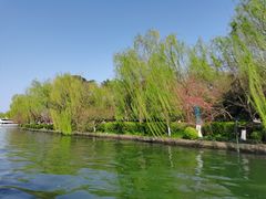 -西湖外事游船(花港观鱼码头)