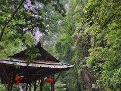 -青城山