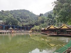 -西双版纳原始森林公园