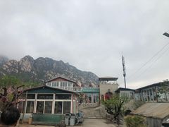 -闻道食府烙饼卷带鱼(原车耳营店原大觉寺店)