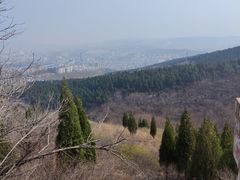 -原山国家森林公园