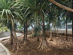 -石家庄市植物园