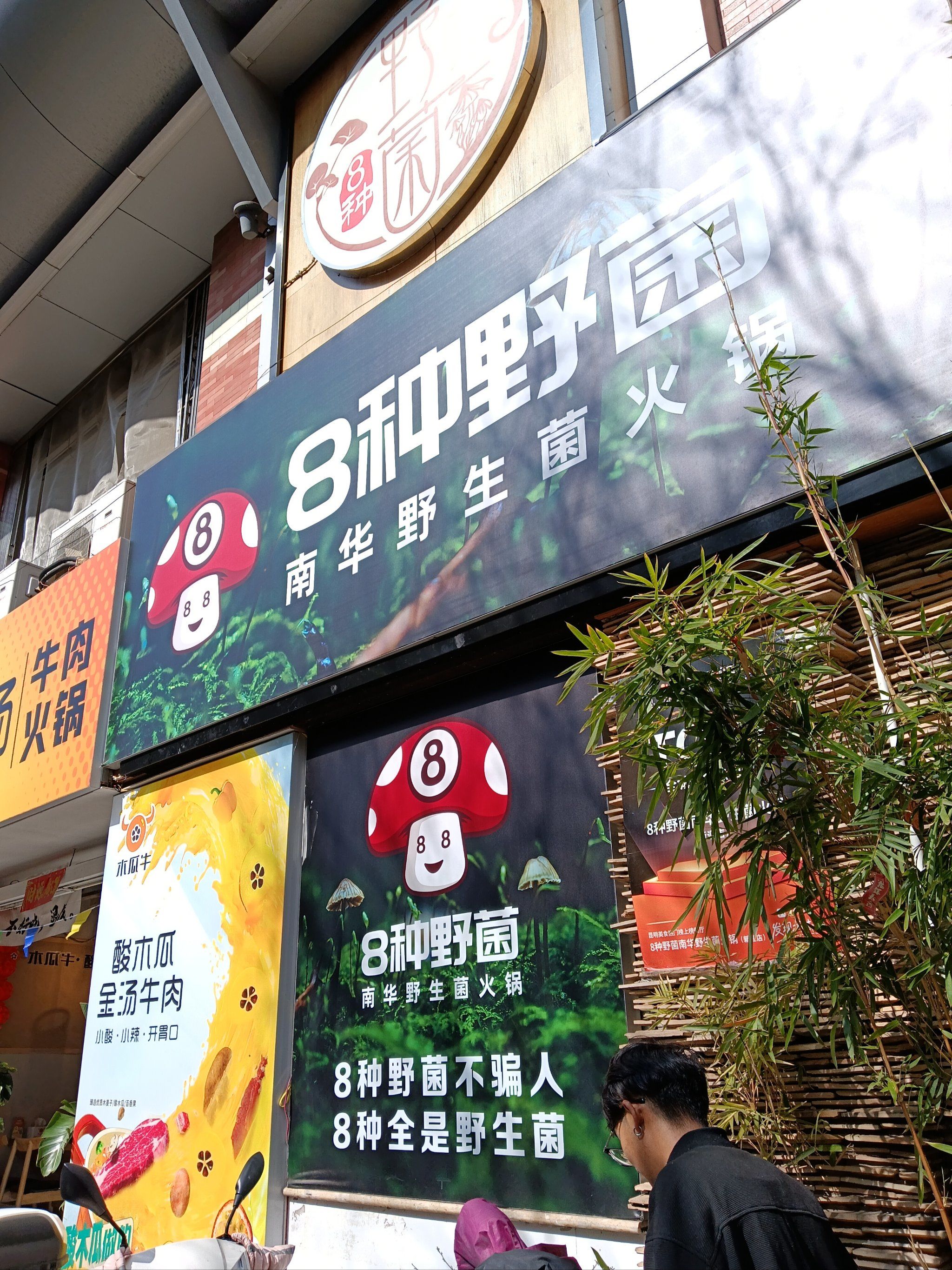 这些好评从菌子的新鲜度,种类丰富度,烹饪