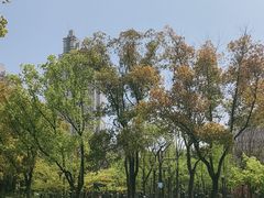 -仲盛世界商城