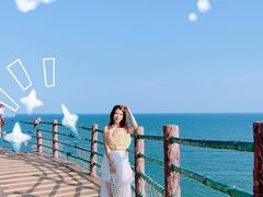 -广东惠东海龟国家级自然保护区