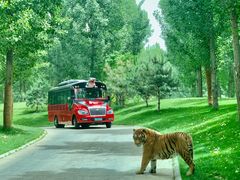 -北京野生动物园