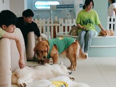 -怪兽屋·羊驼·猫咖·狗咖(俊华广场店)