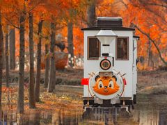 -黄海国家森林公园