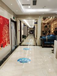 -碧莲盛·不剃发植发