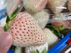 -尚田草莓姑娘白草莓采摘基地