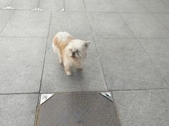 -鹏欣水游城