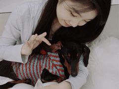 -汪说·狗咖·拼豆·宠物周边DIY(旺城大厦店)