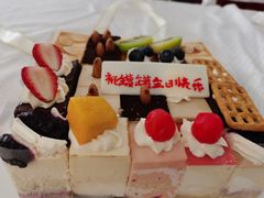 -维尔纳斯·生日蛋糕动物奶油冰淇淋蛋糕(人大店)