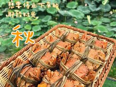 -七的湖·晚芳亭·阳澄湖农家菜·大闸蟹(莲花岛店)