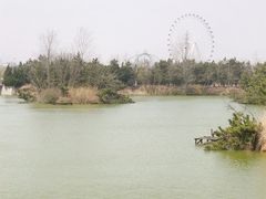 -日照灯塔风景区