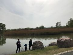 -淇河国家湿地公园