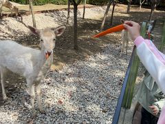 -常州淹城野生动物世界