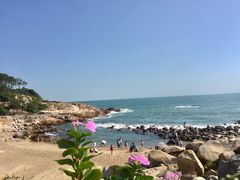 -广东惠东海龟国家级自然保护区