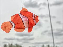 -栖露营camping·天幕烧烤·团建拓展·采摘营地