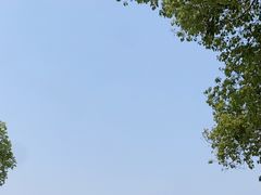 -均和墟历史街区-平和大押
