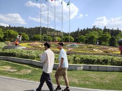 -南京银杏湖乐园