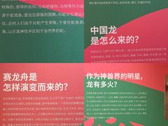 -中华世纪坛