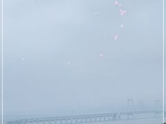 -星海湾跨海大桥